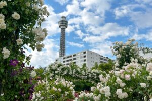 横浜マリンタワー