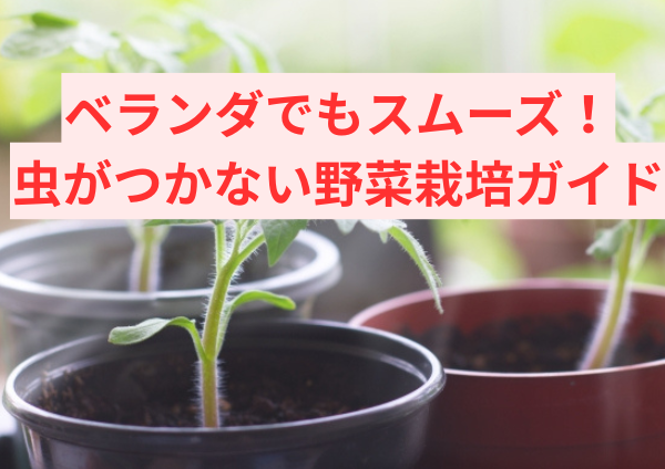 ベランダでもスムーズ！虫がつかない野菜栽培ガイド