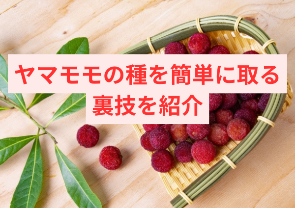 ヤマモモの種を簡単に取る裏技を紹介