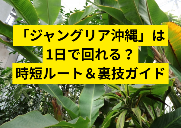 沖縄「ジャングリア」は1日で回れる？効率よく満喫する時短ルート＆裏技ガイド