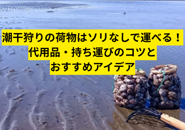 潮干狩りの荷物はソリなしで運べる！代用品・持ち運びのコツとおすすめアイデア